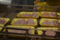 Praca w Holandii przy pakowaniu mięsa na taśmie produkcynej Zaandam