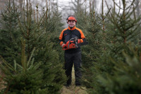 Sezonowa praca w Szwecji leśnictwo bez języka od zaraz Skania wycinka drzew