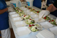 Oferta pracy w Holandii na produkcji przy pakowaniu bez języka Alkmaar