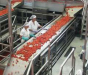 Praca w Holandii na produkcji przy pakowaniu spożywczym od zaraz Rotterdam