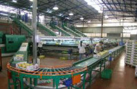 Oferta pracy w Szwecji przy pakowaniu bez znajomości języka Helsingborg