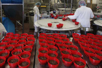 Oferta pracy w Anglii przy produkcji puddingów Manchester UK bez języka