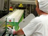 Bez języka dam pracę w Holandii na produkcji dań mrożonych w Tilburgu