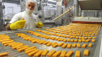 Bez znajomości języka dam pracę w Norwegii na produkcji dań mrożonych Oslo