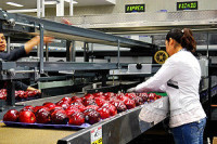 Holandia praca w Venlo pakowanie warzyw bez znajomości języka od zaraz