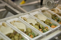 Oferta pracy w Holandii bez języka produkcja dań gotowych Bunschoten