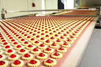 Bez języka oferta pracy w Holandia przy pakowaniu ciastek Zwolle od zaraz