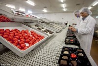 Praca Anglia przy pakowaniu czekoladek Luton od zaraz bez znajomości języka