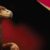 banner2