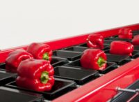 Bez znajomości języka Norwegia praca od zaraz 2017 pakowanie warzyw, owoców Moss