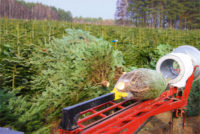 Dla par dam sezonową pracę w Niemczech od zaraz bez języka przy choinkach Hamburg