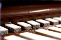 Dam pracę w Niemczech od zaraz pakowanie wafelków bez języka Bremen