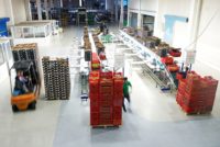 Holandia praca od zaraz na produkcji bez znajomości języka przy owocach i warzywach, Venlo