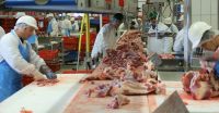 Rzeźnik-ubojowiec Francja praca na produkcji mięsnej od zaraz, Peyrins