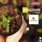 Pracownik szklarni – praca w Holandii od zaraz przy uprawie roślin, Zoutpad