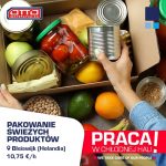 Holandia praca bez znajomości języka od zaraz pakowanie żywności na chłodni, Bleiswijk