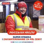Pracownik chłodni dam pracę w Holandii na magazynie bez języka od zaraz, Tilburg 2023
